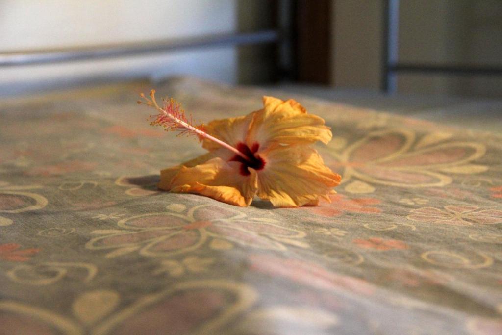 Bamboo Backpackers Hostel Νάντι Δωμάτιο φωτογραφία